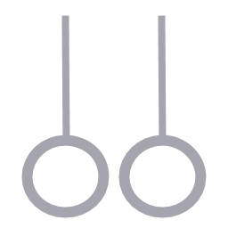 Gymnastic Rings